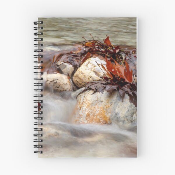 Item preview, Mountain stream flowing between the stones and greeted with brown autumn leaves Greece designed and sold by EG Creativity Art.