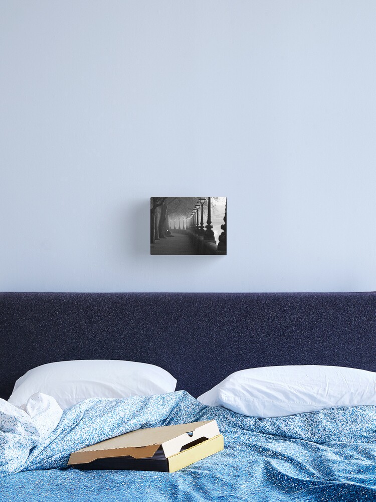 Thumbnail 1 of 3, Canvas Print, Chelsea Embankment, London. in Back and white designed and sold by hwjgage.