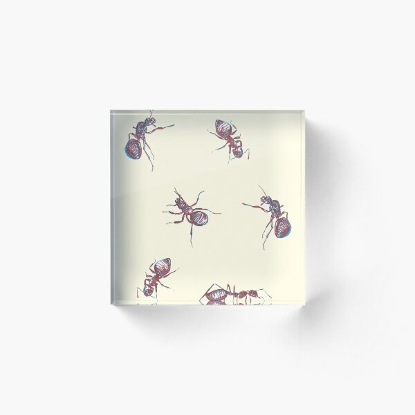 Ants pattern Acrylic Block