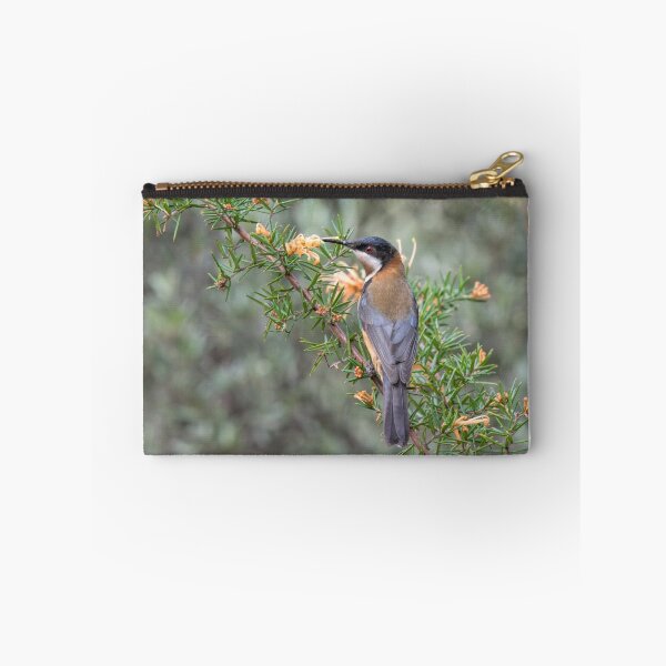 Item preview, Eastern Spinebill on a Grevillea Plant designed and sold by John Sharp.