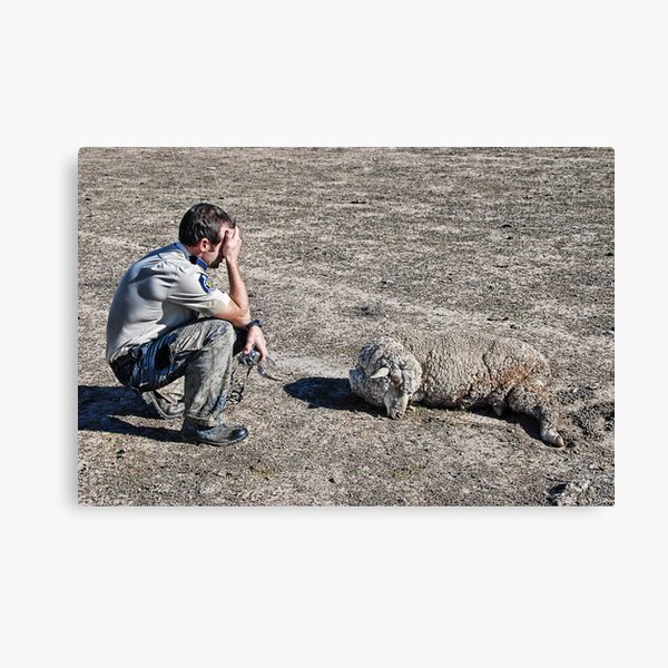 Starved Canvas Print