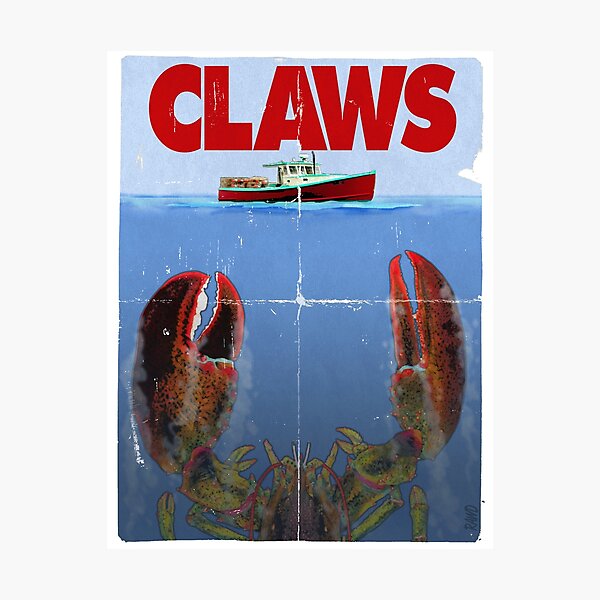 Gonna need a bigger boat! Photographic Print