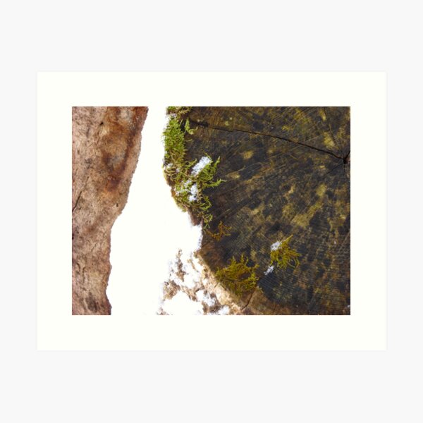 bloom Art Print