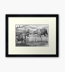 Two Moose Pair Off Framed Print