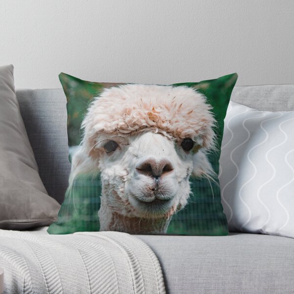 Alpaca Throw Pillow