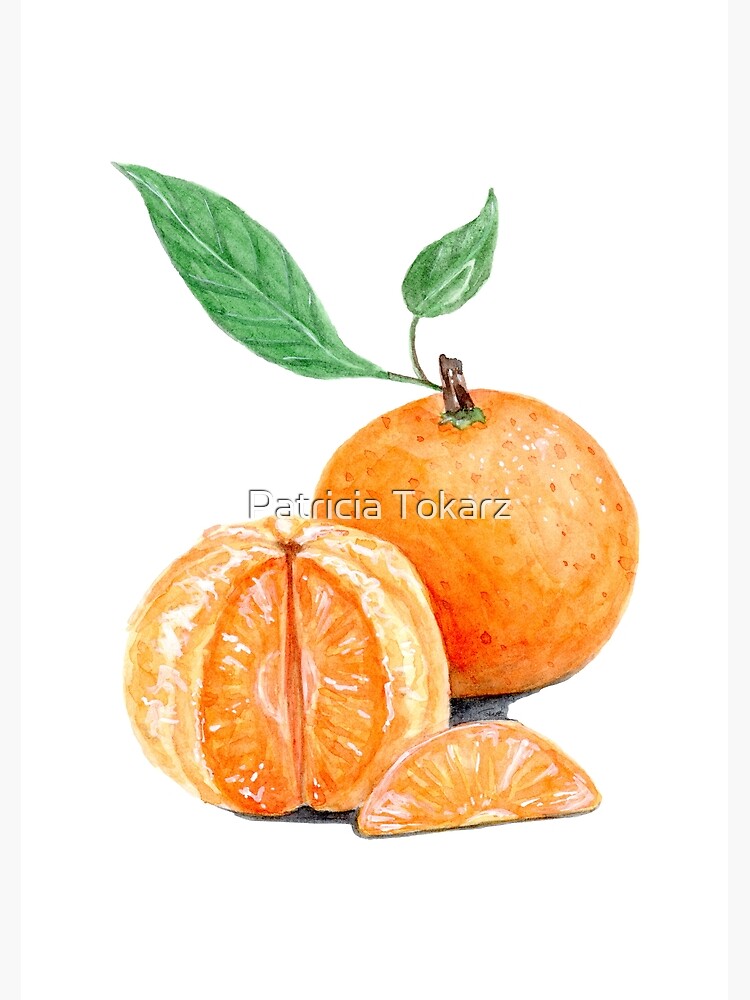 Fruit Kids - Mandarina Pinturas