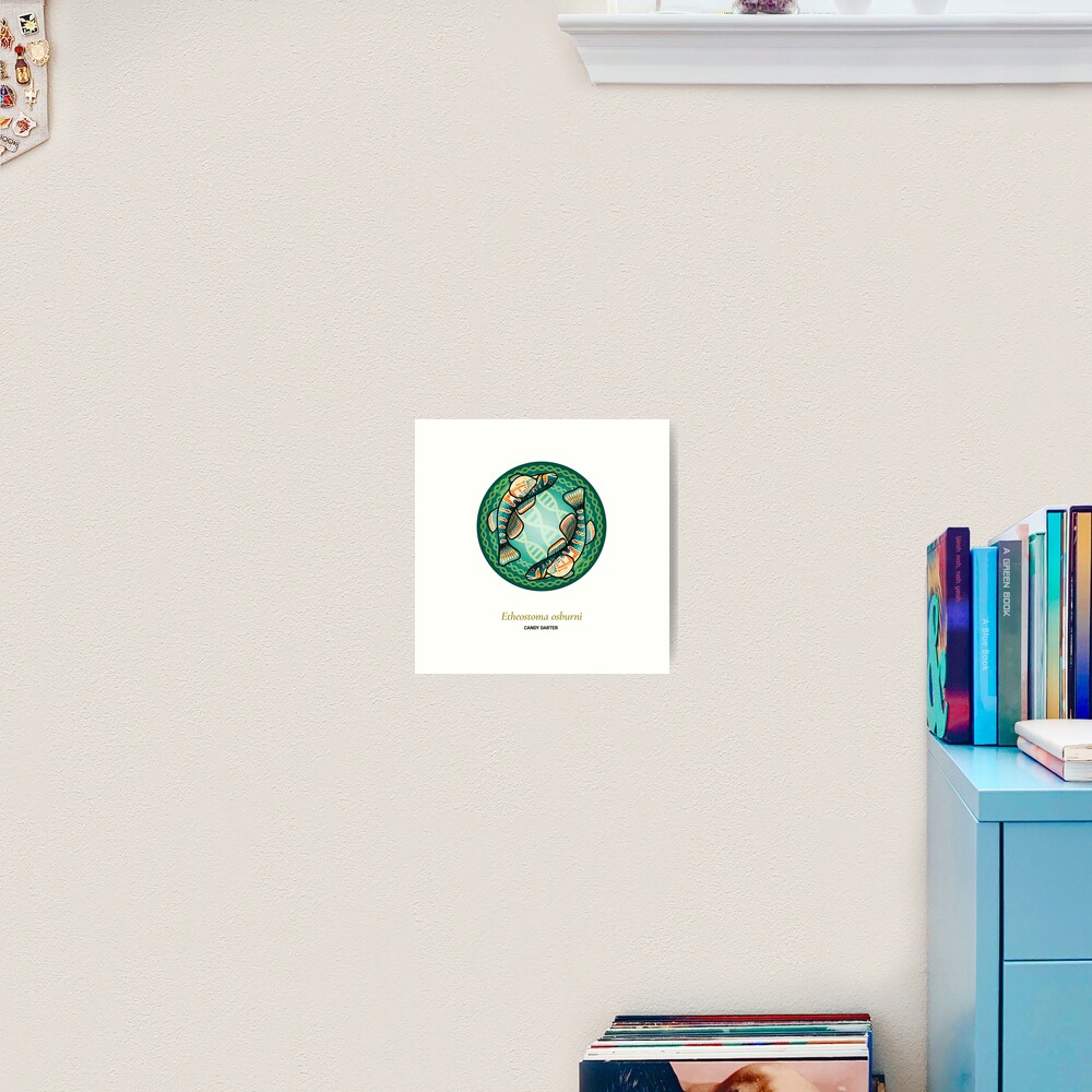 The Circles of Life: Candy Darter Art Print