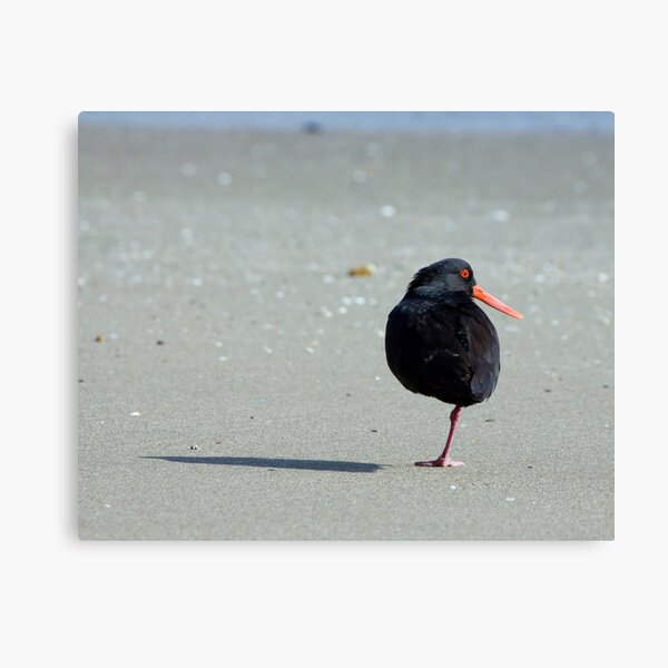 Easy Peasy Canvas Print