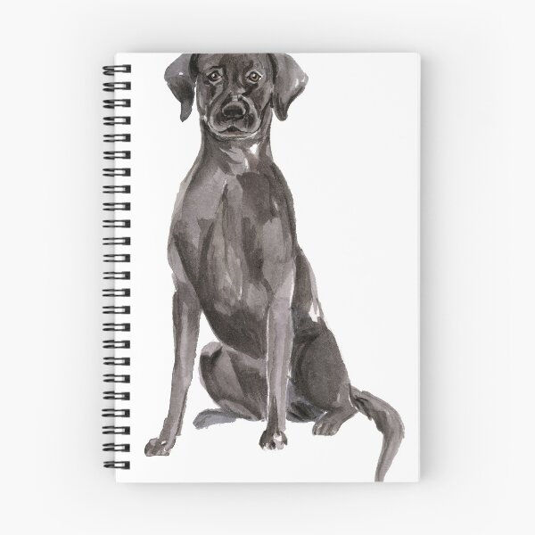 Item preview, Black Labrador designed and sold by SAFTLADEN.