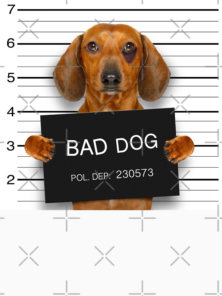 Funny Dachshund Mugshot by wantneedlove