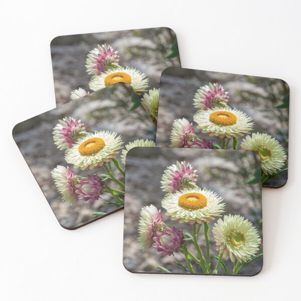 Item preview, Everlasting flowers designed and sold by iCimages.net.