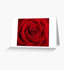 Challenge Winner Greeting Card