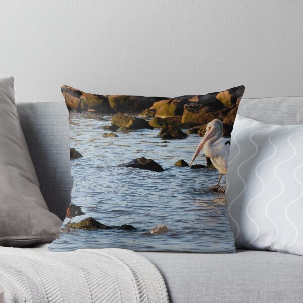 Item preview, Pelican standing over small bird designed and sold by VisualFX.