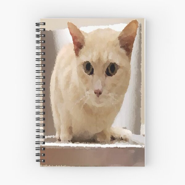 Item preview, Gossimer at the vet. OP designed and sold by After 10 POD Designs.