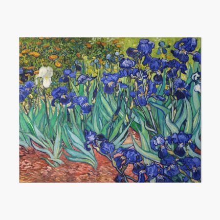 Irises by Vincent van Gogh Art Board Print