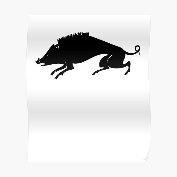 wild boar lover - wild boar gift Poster