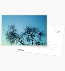 Bare Postcards