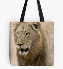 Male Lion Tote Bag