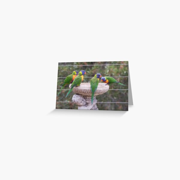 Four Lorikeets Greeting Card