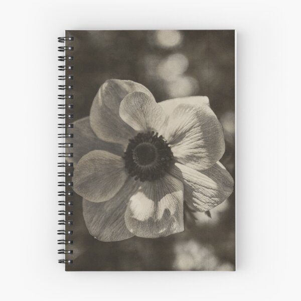 Item preview, Anemone coronary - Sepia designed and sold by joneagoitz.