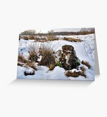 Snow in The Zeepe Greeting Card