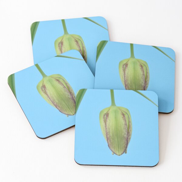 Item preview, Fritillaria Fritillary April designed and sold by Chris Burrows.