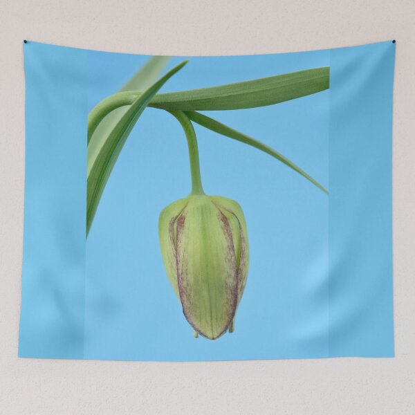 Item preview, Fritillaria Fritillary April designed and sold by Chris Burrows.