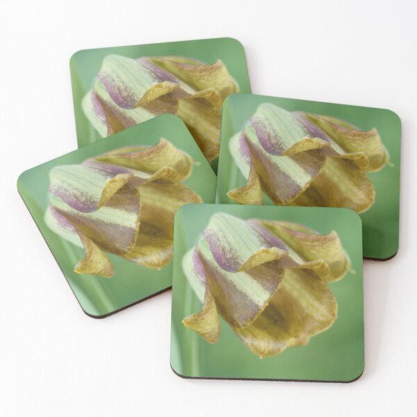 Item preview, Fritillaria Fritillary April designed and sold by Chris Burrows.