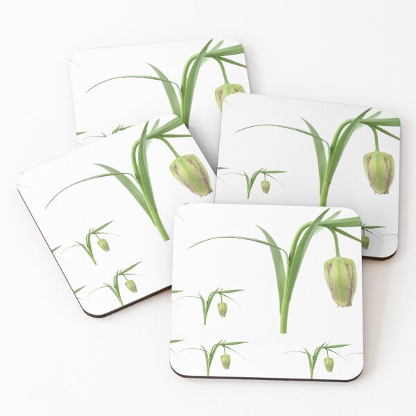Item preview, Fritillaria Fritillary April designed and sold by Chris Burrows.