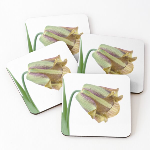 Item preview, Fritillaria Fritillary April designed and sold by Chris Burrows.