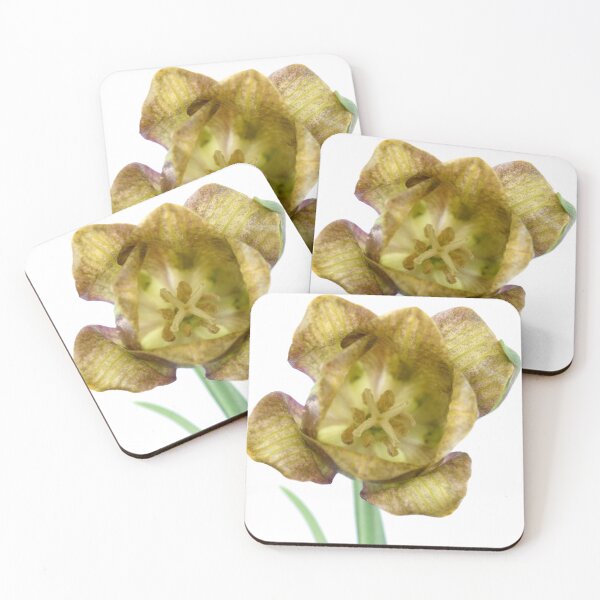 Item preview, Fritillaria Fritillary April designed and sold by Chris Burrows.