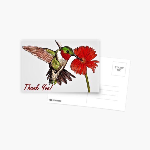Humming Bird - Thank You Card Postcard