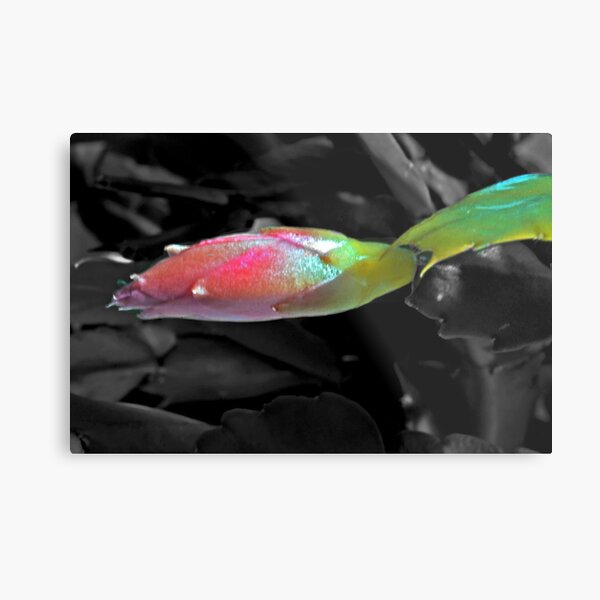 Beauty in waiting Metal Print