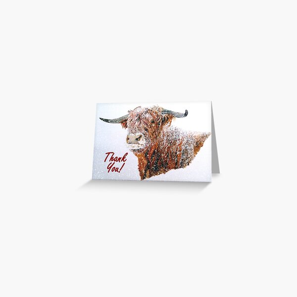 Snowy Highland Cow - Thank You Card Greeting Card