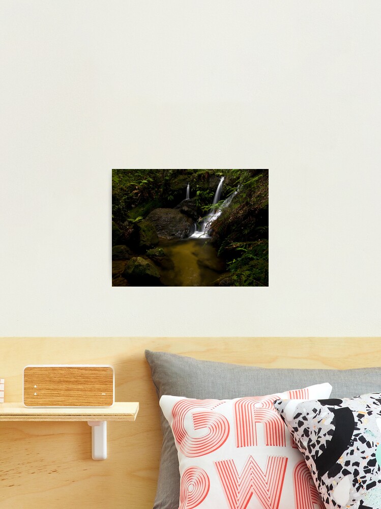 Thumbnail 2 of 3, Photographic Print, Fairyland - Valley of the Waters, Blue Mountains NSW designed and sold by Katon.
