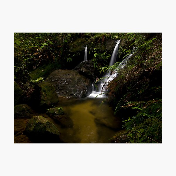 Item preview, Fairyland - Valley of the Waters, Blue Mountains NSW designed and sold by Malcolm Katon.