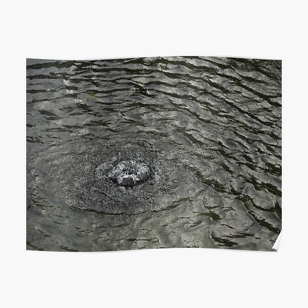 Bubbling up Poster