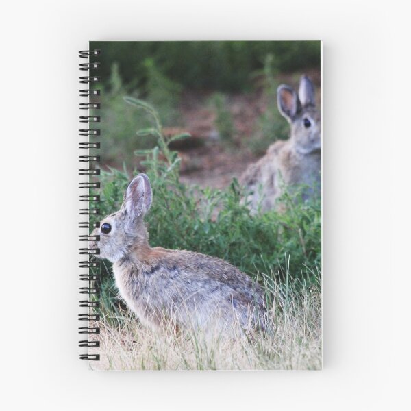 Item preview, Seeing Double designed and sold by Alyce Taylor.