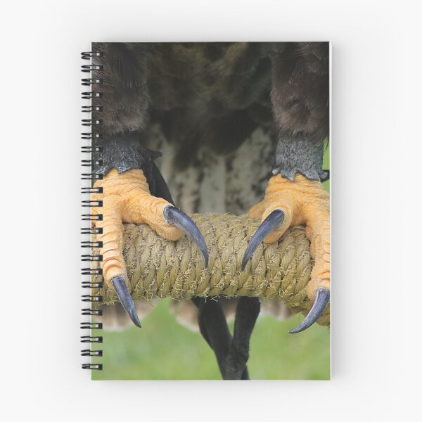 Item preview, Eagle Talons designed and sold by Alyce Taylor.