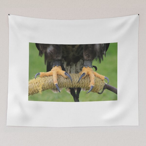 Item preview, Eagle Talons designed and sold by Alyce Taylor.