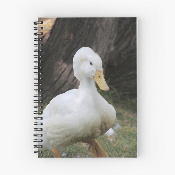 Item preview, White Crested Duck designed and sold by Alyce Taylor.