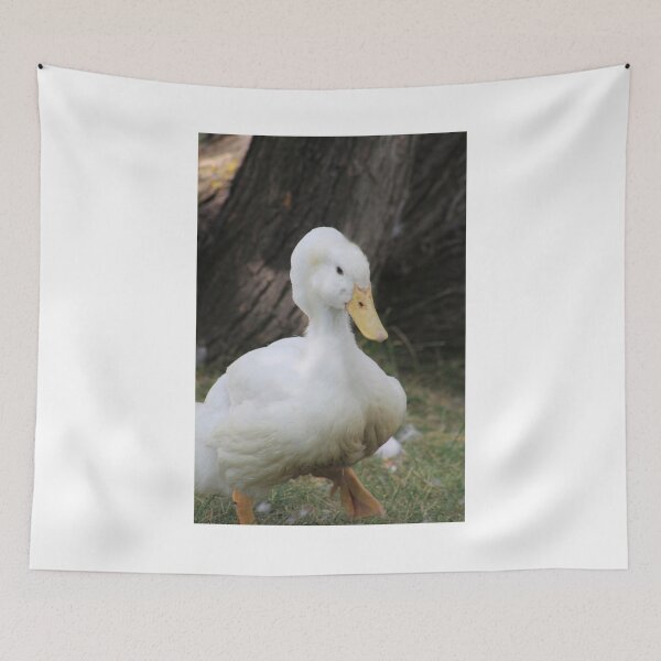 Item preview, White Crested Duck designed and sold by Alyce Taylor.