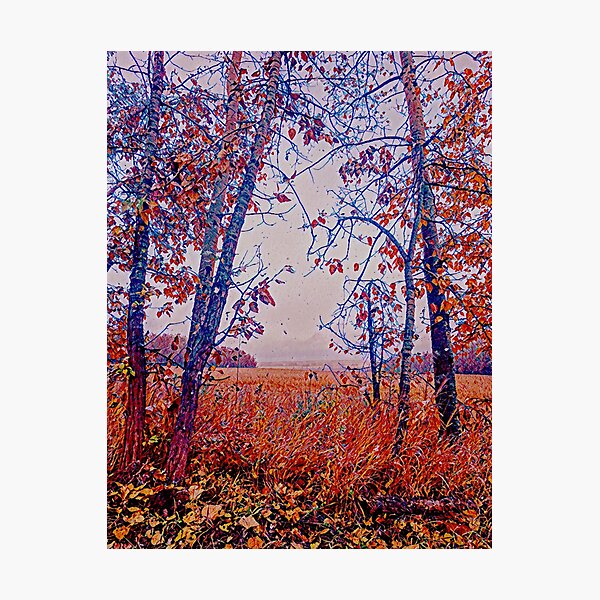 October Feels Photographic Print