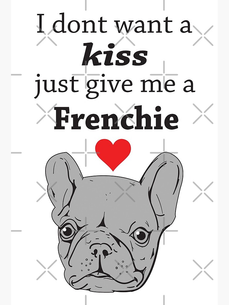 frenchie on board