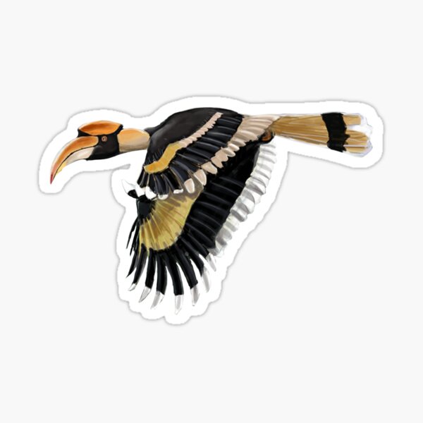 Item preview, Great Indian  Hornbill designed and sold by Mirrortail.