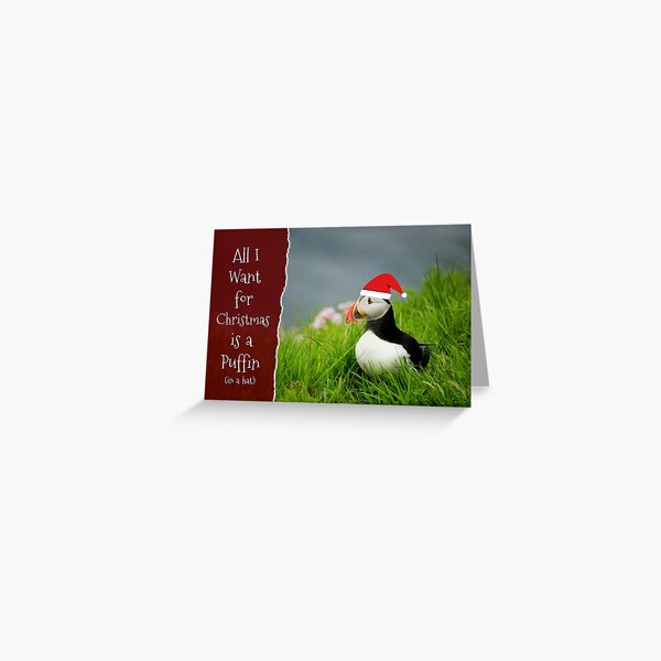 All I Want for Christmas is a Puffin Greeting Card