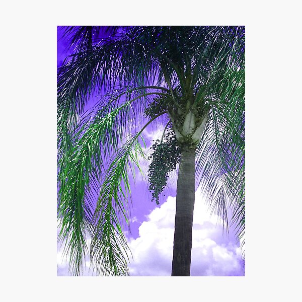Item preview, Palm Tree Seeding designed and sold by Rosalie Scanlon.