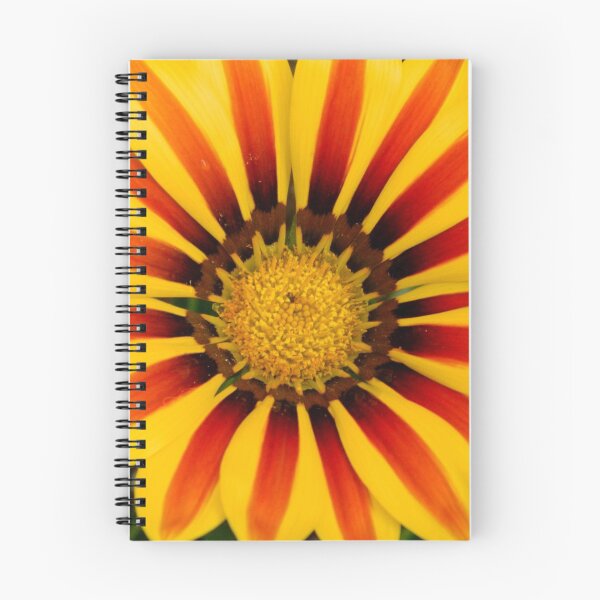 Item preview, Burst designed and sold by Retro-C22.