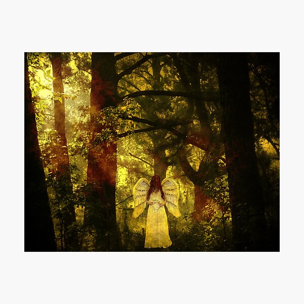 Celestial Photographic Print