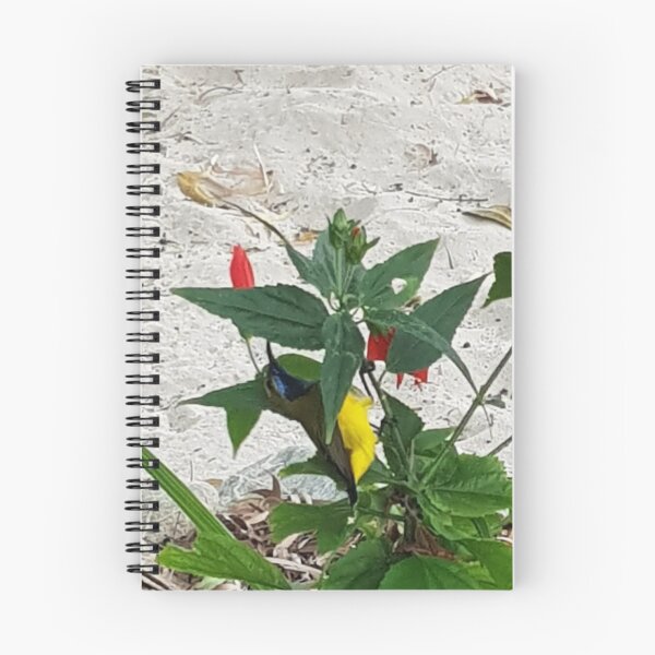 Item preview, Sunbird designed and sold by JulieMoss.